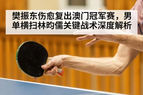 樊振东伤愈复出澳门冠军赛,男单横扫林昀儒关键战术深度解析